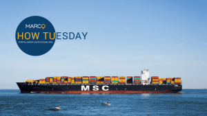 How Tuesday Webinar: NJ/Delaware Bay PARS and Cape Fear Anchorage @ webinar