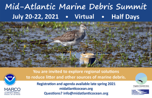 Mid-Atlantic Marine Debris Summit July 20-22 @ webinar