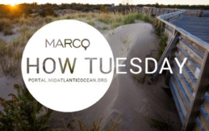 How Tuesday Webinar: Intro to the Portal @ webinar