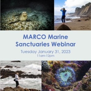Marine Sanctuaries as a Mid-Atlantic Ocean Conservation Tool @ webinar